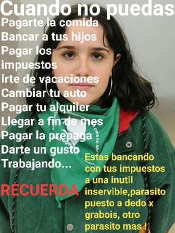 Estos imbeciles que son parasitos de la patria  <a href="/OfeFernandez_/">Ofelia Fernández</a>