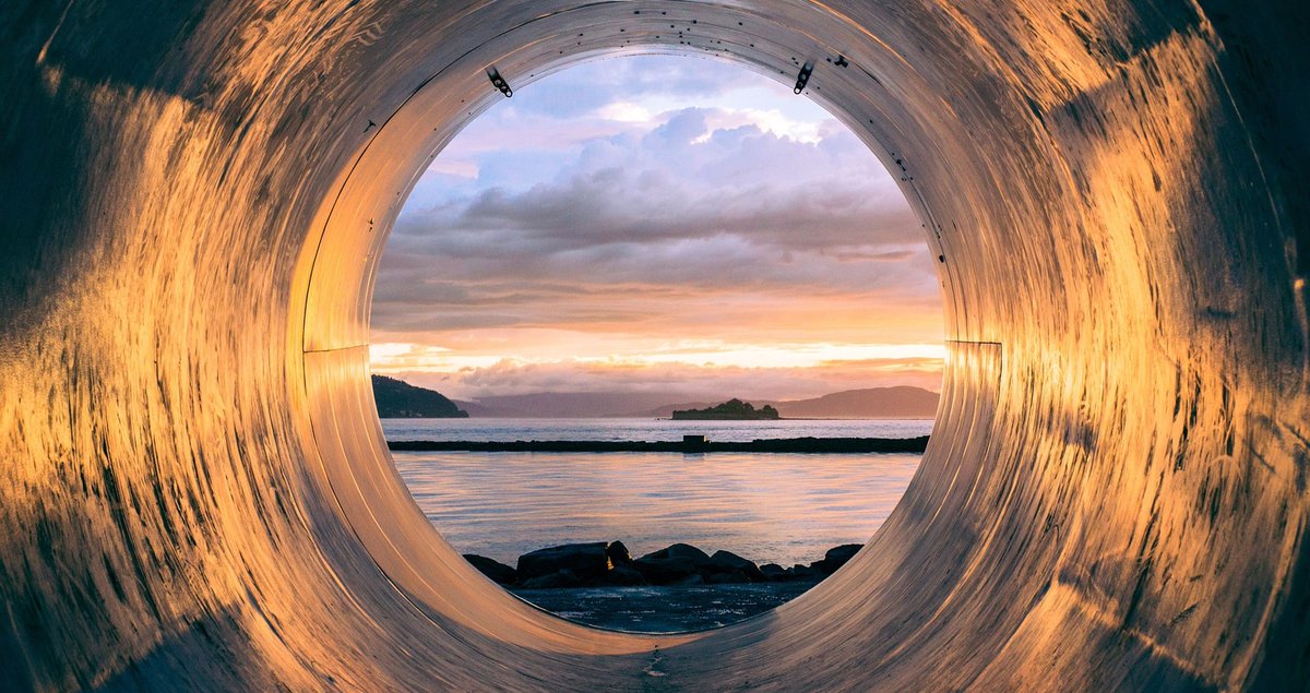 COVID-19 Genomics UK (COG-UK) Consortium tweet media