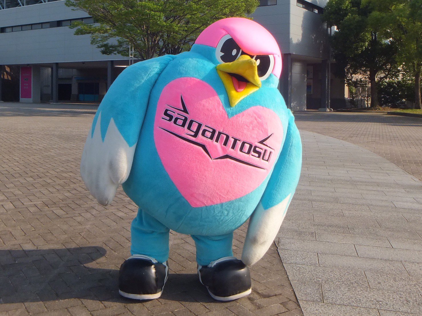 サガン鳥栖公式 ウィントス 契約更新 今年も Jリーグマスコット総選挙21 があるから みんなの協力よろしくウィン 今シーズンはソーシャルディスタンスを保ちながらみんなと会いに行ける方法を模索するんだウィン 今シーズンもウィン サガン鳥栖公式 ウィントス 契約更新 今年も Jリーグマスコット総選挙21 があるから みんなの協力よろしくウィン 今シーズンはソーシャルディスタンスを保ちながらみんなと会いに行ける方法を模索するんだウィン 今シーズンもウィン