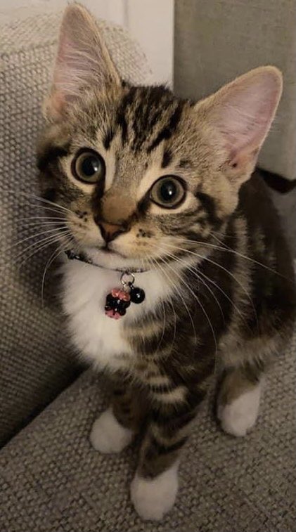 Good morning friends.Cold &amp; sunny in London this Monday morning. Hope all are well. A new week &amp; new beginnings. But the last week of January. Time to see what works &amp; let go of what is hurtful. But still go forward with love &amp; optimism. Baby Marta sends her love.I send my best.