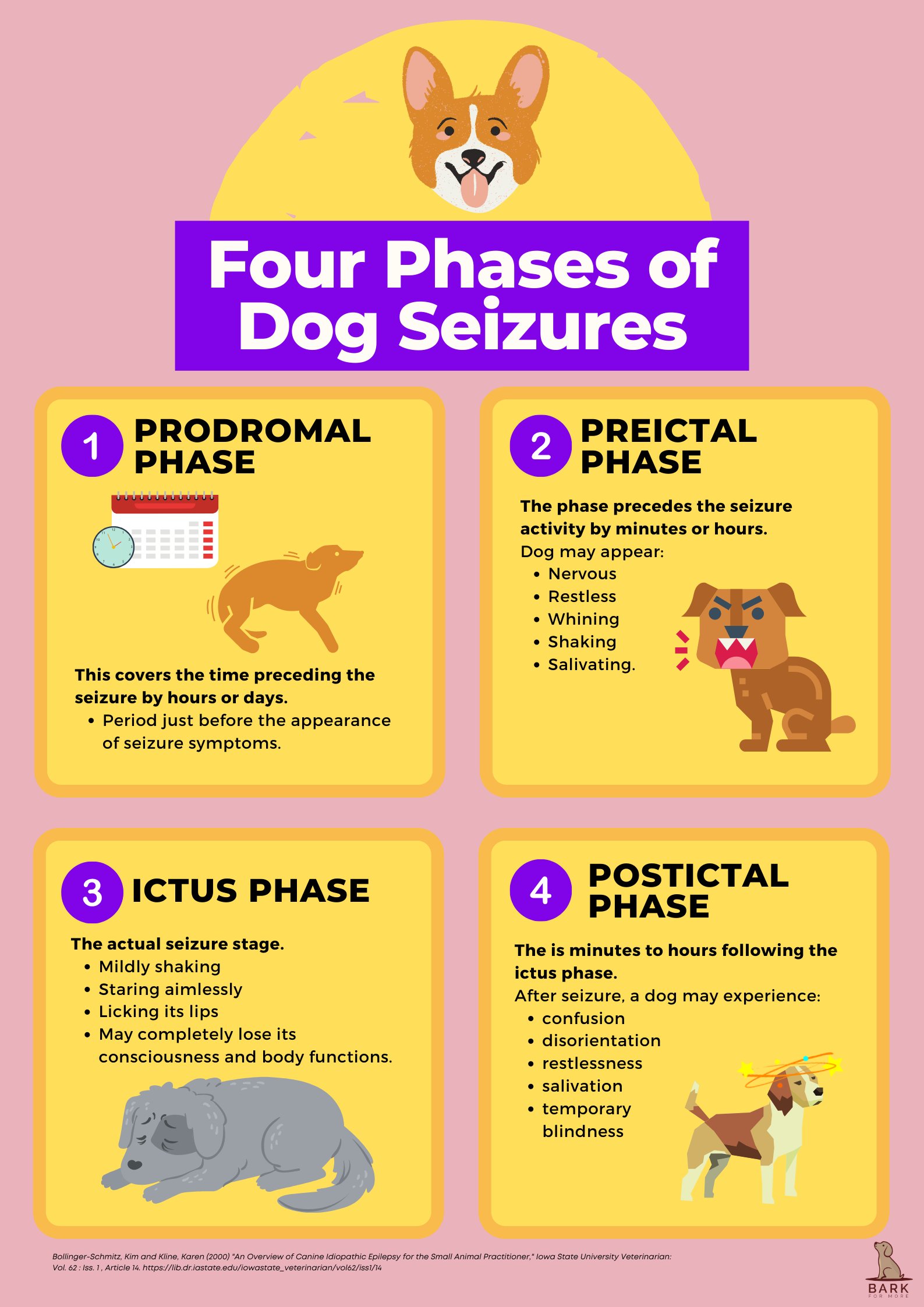 what is idiopathic epilepsy dogs