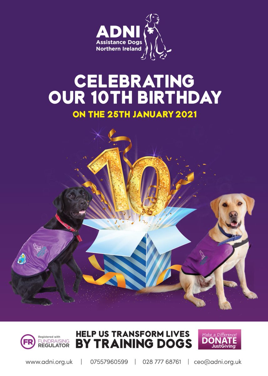 assistancedogsni tweet media