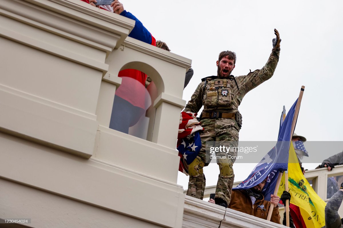 More photos of  #MagnoliaThe front patch is clearerer. Is he wearing a camera?