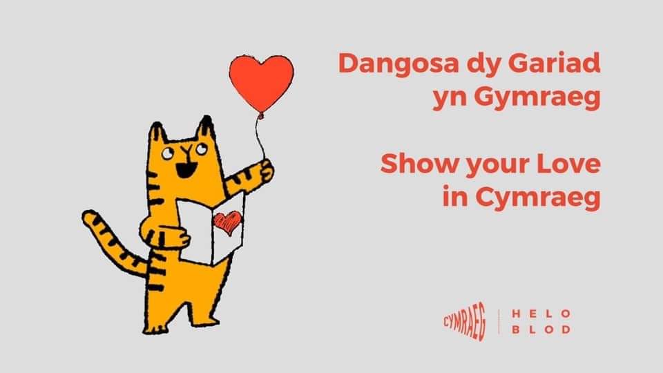 NewbridgeWelsh's tweet photo. Dydd Santes Dwynwen Hapus! 
Happy St Dwynwen's Day! https://t.co/GSKIH7LJGR