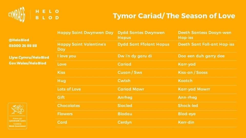 Dydd Santes Dwynwen Hapus! 
Happy St Dwynwen's Day!