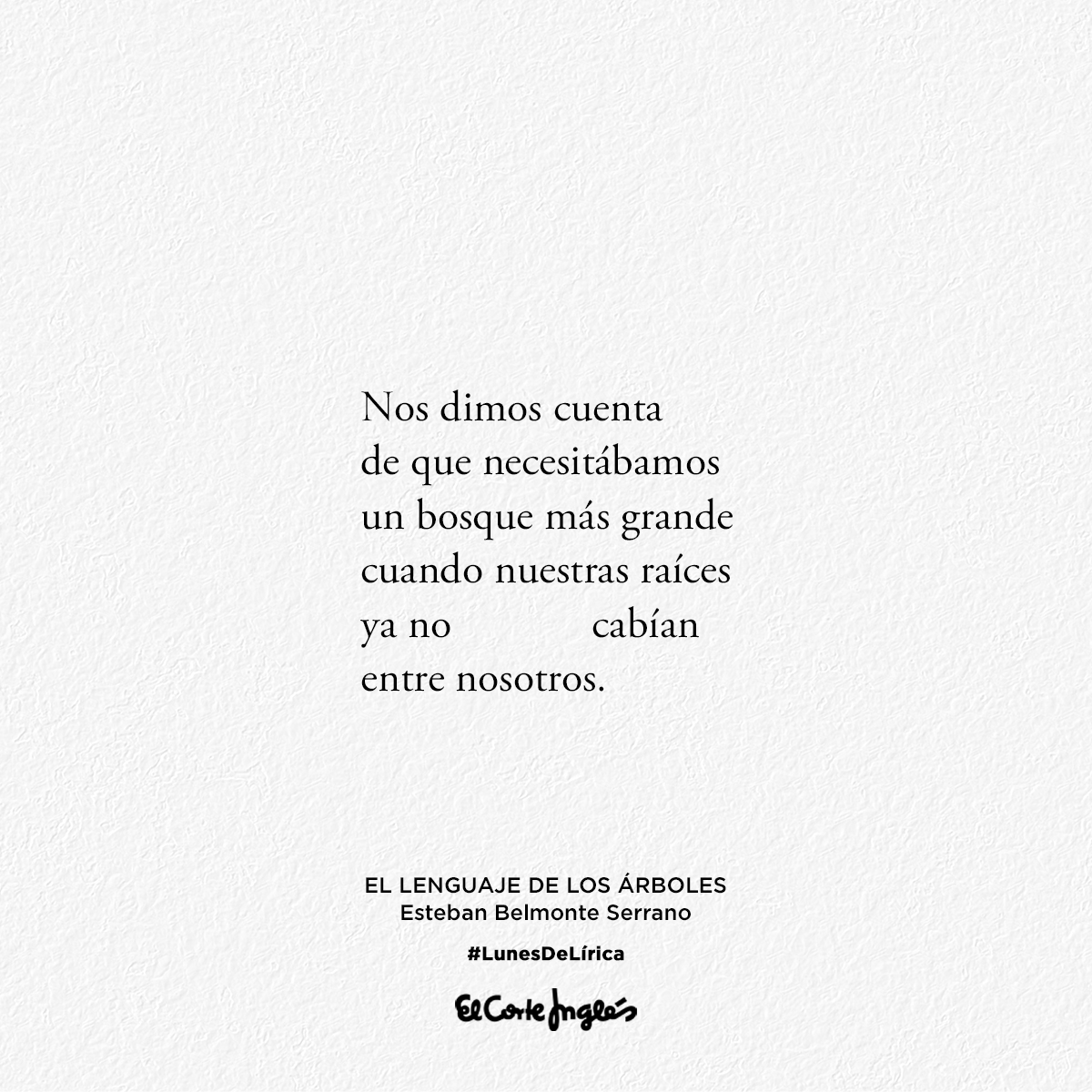 ¿Conoces El lenguaje de los árboles? Nuestro #LunesDeLírica de <a href="/BelmonteEsteban/">Esteban Belmonte</a>. 📖 bit.ly/2XfFoYN 🌳🌳