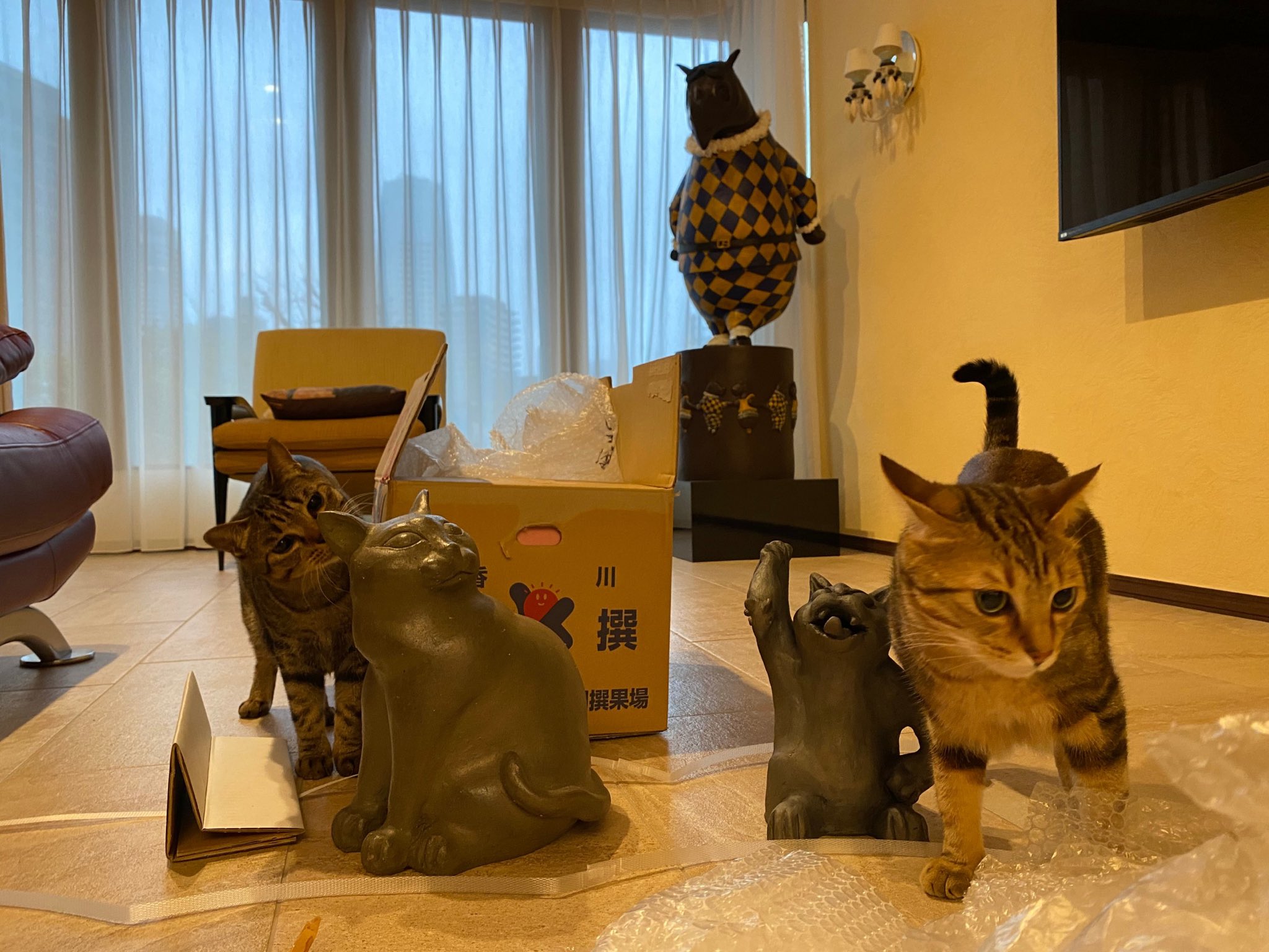 岩合光昭 香川ロケの時にお願いした ネコ の焼物が届いた 夢中になるタマに トモがヤキモチを焼いたのか 緩衝材で遊び始める おとなしくなったので見ると 背中にガムテープが 取ってあげたのに 茫然とするトモ 自慢の茶毛がたくさん抜けてショックな