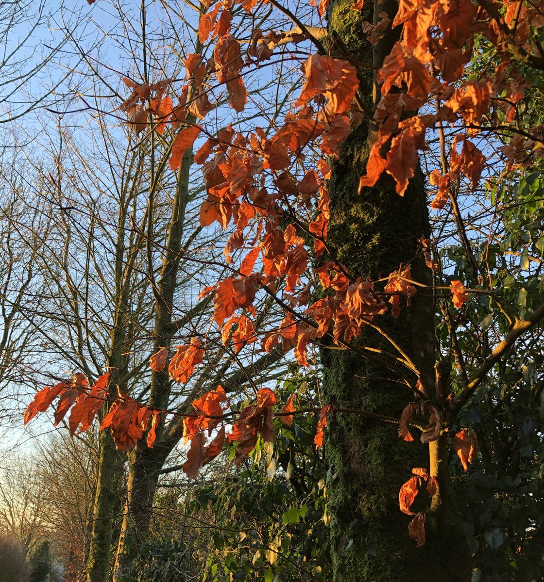 This morning, instead of spending the morning fretting and worrying, I am practicing gratitude for being able to see all this on a Monday morning walk.

One day at a time, from now on, that’s the plan....