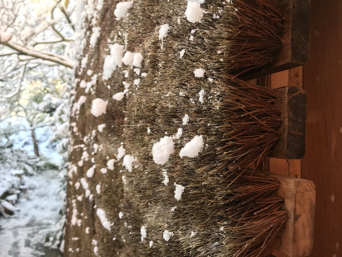 Our ‘hairy micro-office’ facade has collected the overnight snow in a very delicate way.