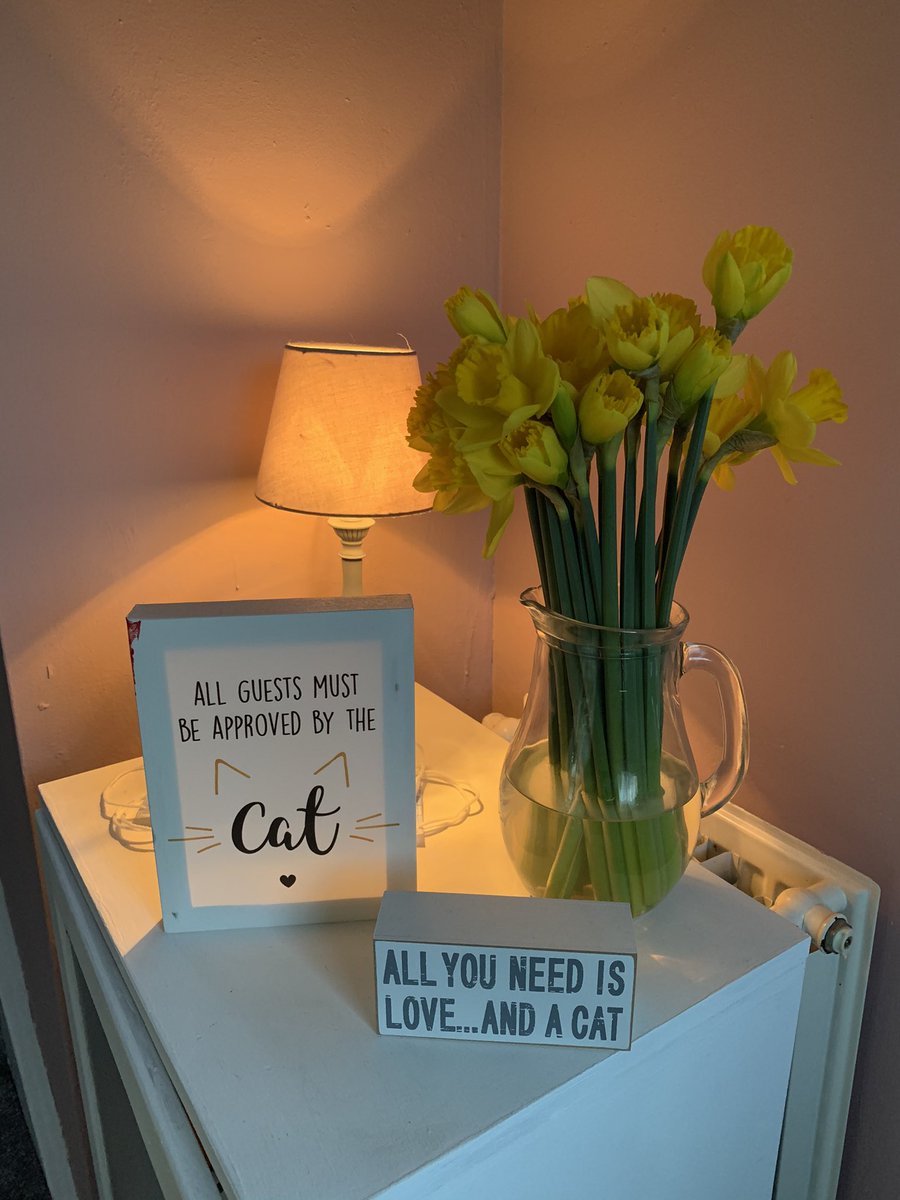 CatherineYaffe's tweet image. Good morning Twitter - I’ve bought you some flowers to brighten your day ❤️
#brighterdaysahead #springisonitsway #daffodils