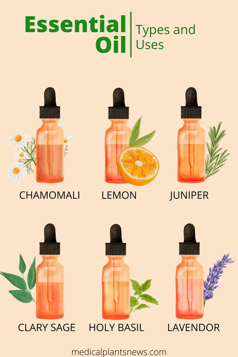 medicalplantsnews.com
Types of Essential Oil and their Uses for glowing skin 
#essentialoilforskin #essentialoilblends #essentialoils #essentialoils101 #lavenderessentialoil #chamomileflowers #chamomileoil #glowingskin #acnetreatment #acneremoval #wrinkleremoval #fairskin