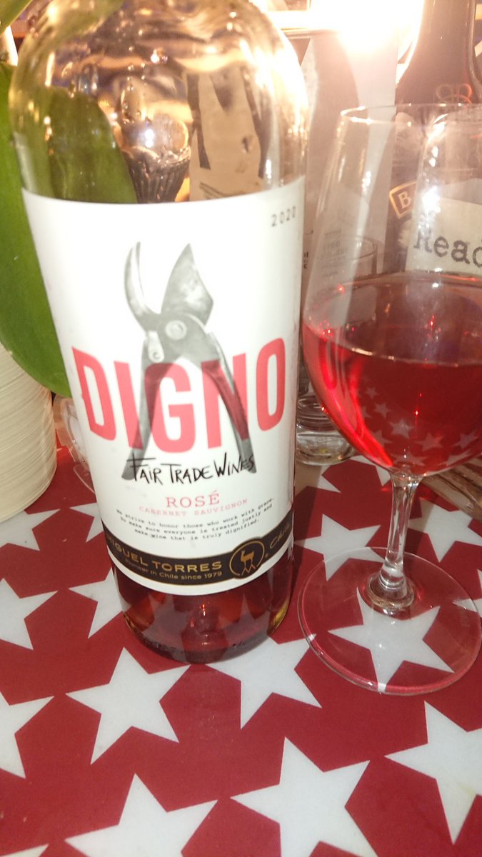 Digno? 🍷😎 Dig, Yes! @MiguelTorresCL Digno Rosé 2020 Cabernet sauvignon Kippis! Cheers! Salud! Santé!