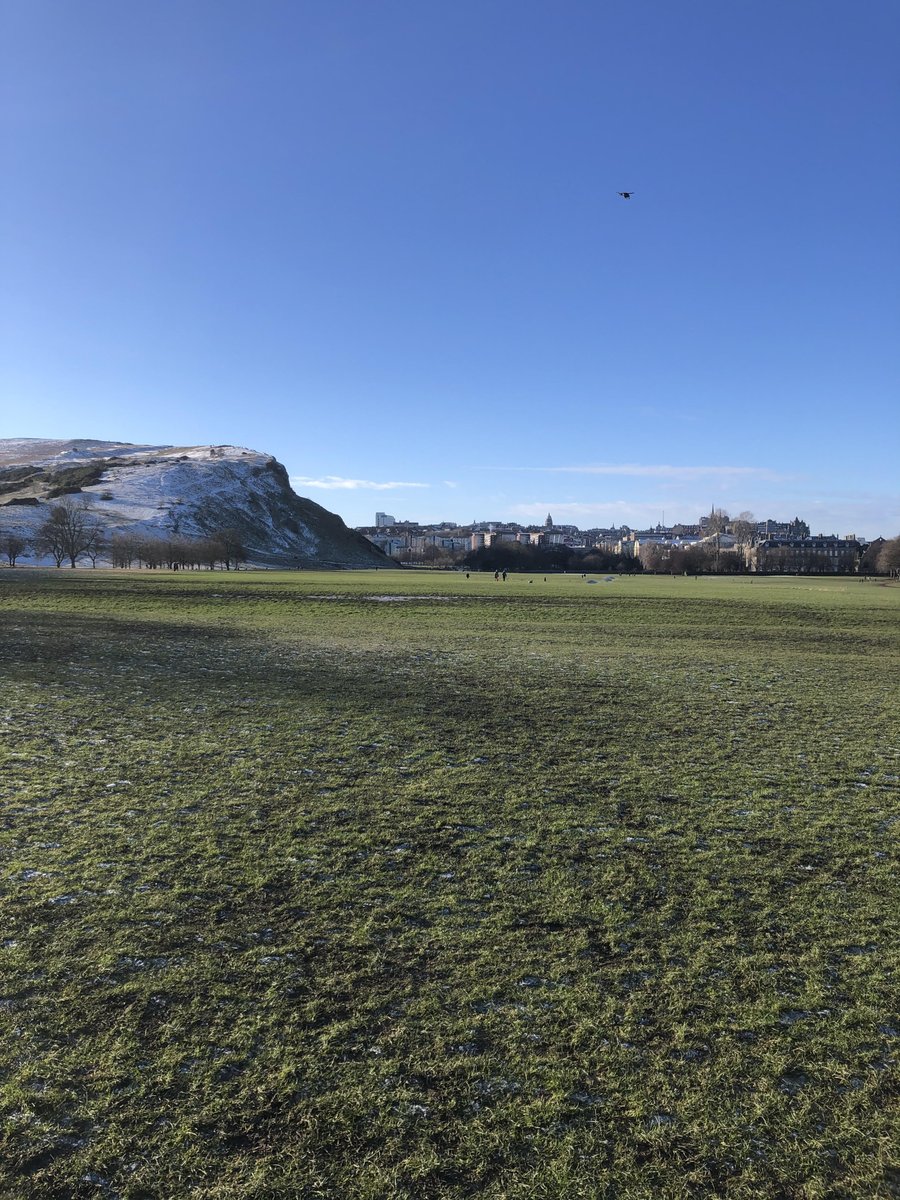 IanMarshallCA's tweet photo. Well, Portobello was a bit like 'Covid Soup' at the weekend so found a good wee field at the bottom of Arthur's Seat instead to continue 'fetch training'... https://t.co/NQICnAWvuE