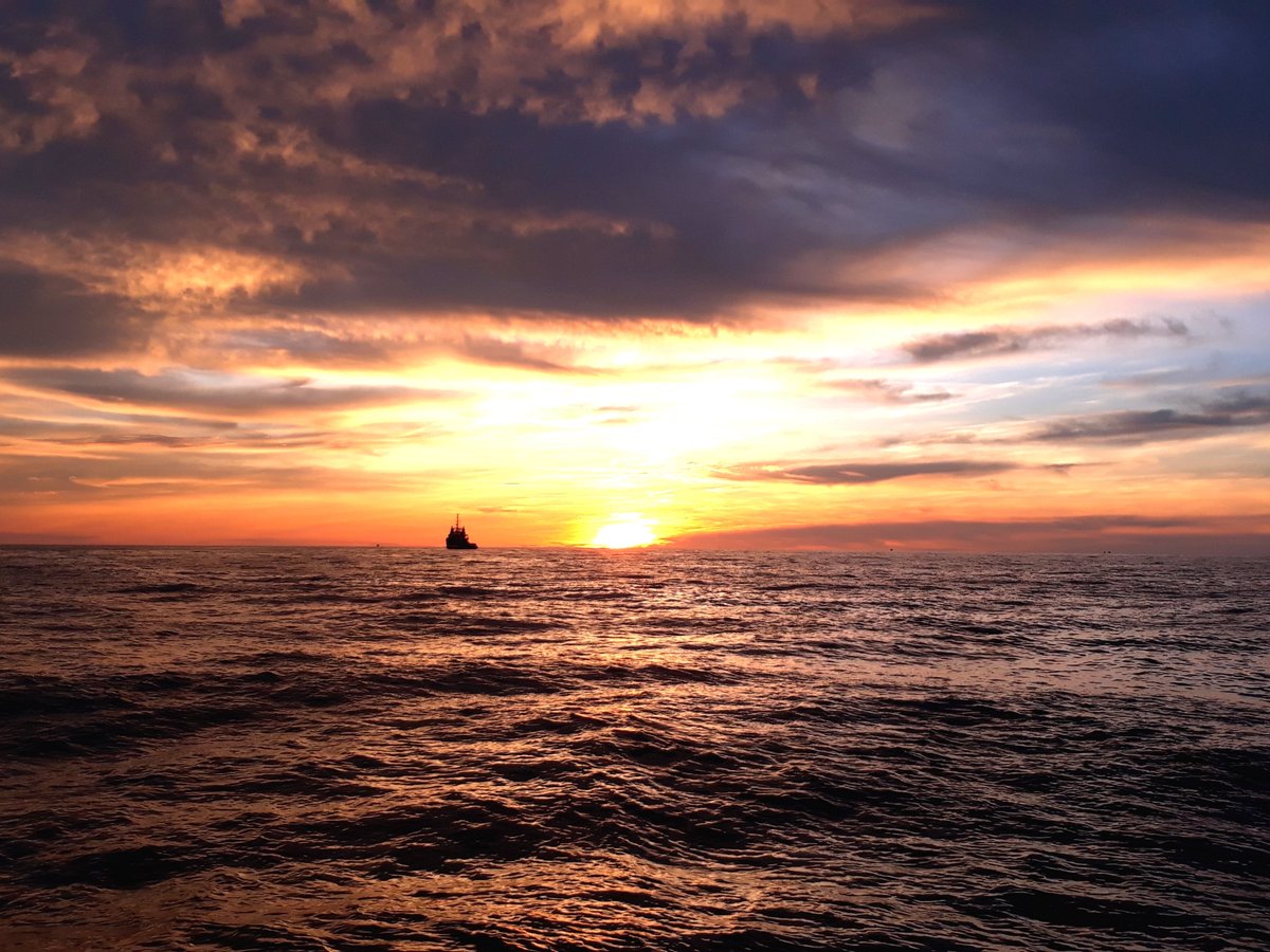 This #BurnsNight &amp; #StDwynwensDay we're reflecting on Burns' words about missing a loved one at sea. Thank you to dedicated #seafarers who leave loved ones behind &amp; their families whose 'Nightly dreams &amp; thoughts by day, 
Are aye with him that's far away' - On The Seas &amp; Far Away
