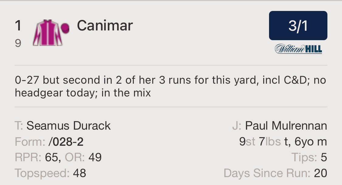 PMulrennan's tweet photo. 2 rides 🏇today @ChelmsfordCRC #Canimar runs at 1.40pm for Seamus Durack and #MeavesMemory runs at 3.10pm for @BenHaslamRacing best of luck 🤞 to connections today 🍀🍀🏇🏇🐴🐴🐴 https://t.co/29jiETFMjk