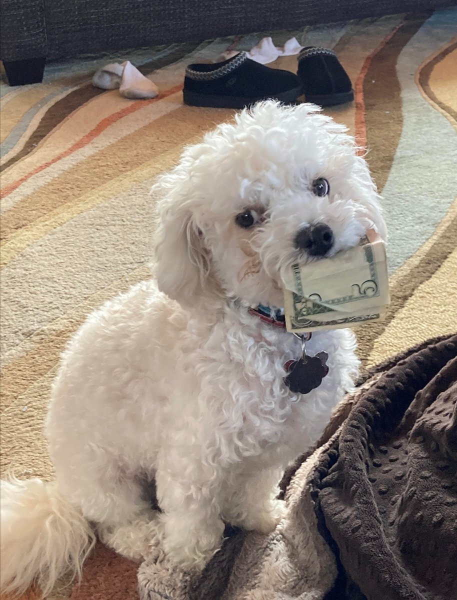 comparte este lomito del dinero, para que llegues a fin de mes