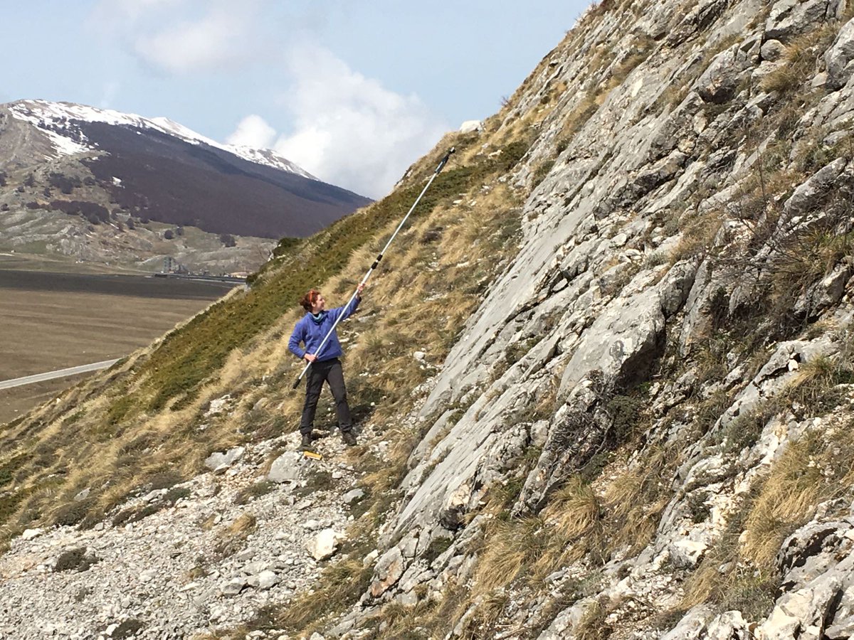 Luke Wedmore tweet media