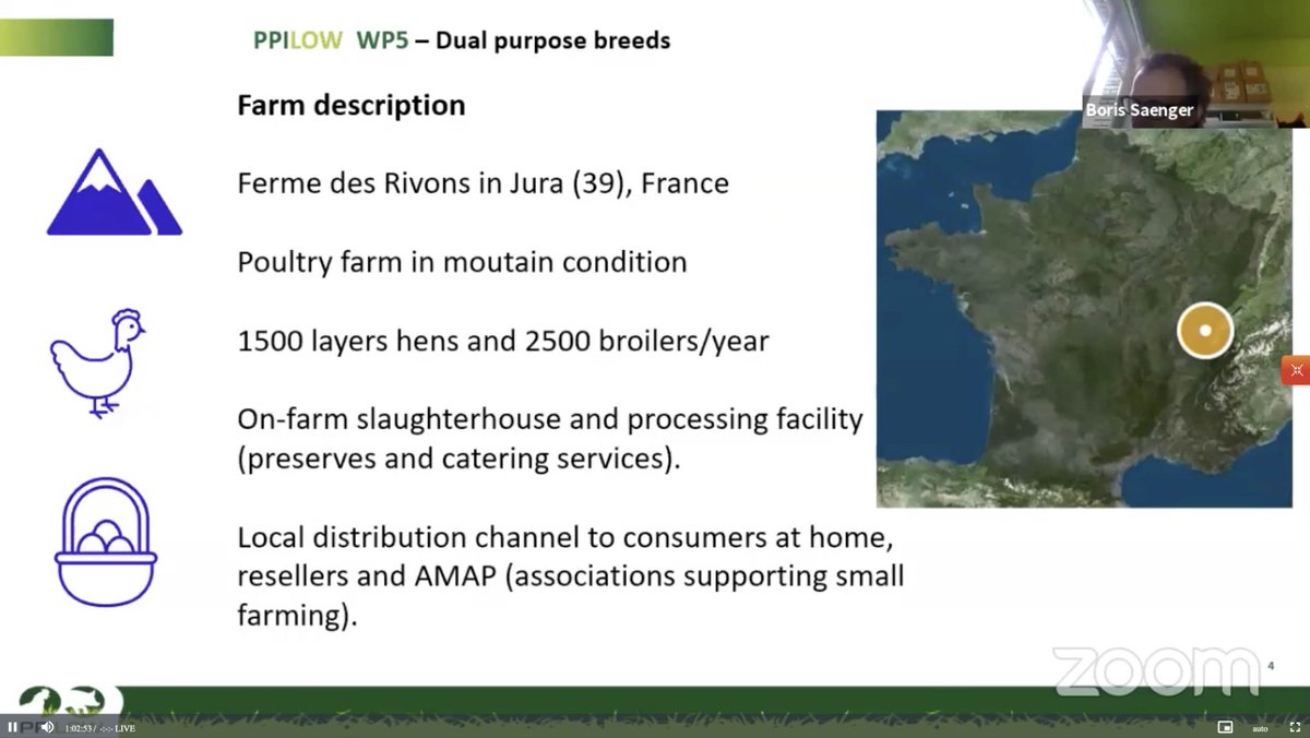 OrganicsEurope's tweet photo. Boris Saenger, owner of "Ferme des Rivons" (🇫🇷), presents a trial he is working on with @ITABinstitut for breeding dual purpose breeds. Main motivations are based on values. There are challenges, farm needs to adapt accordingly. #OKNetEcoFeed https://t.co/XnTP3QRMS3