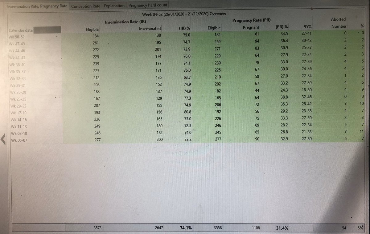 alicook29's tweet image. Preg rate continuing to improve! @Ice_Robotics
