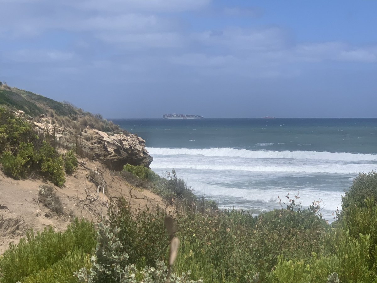 We got out for some beach walks. &ndash; bei  The Bluff