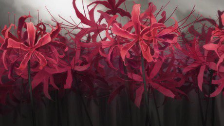 HouseOfWeebs's tweet photo. You know some shit boutta go down when you see this flower in the Anime you're watching https://t.co/Fno1zRNJo4