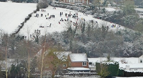 Henley Standard tweet media