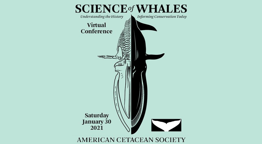 Free one day conference with a great line-up!
Science of Whales: Understanding the History - Informing Conservation Today

Particularly looking forward to 'Humpback Whale Communication and the 'Anthropause''

Schedule acs.memberclicks.net/assets/docs/Sc…

Registration
us02web.zoom.us/webinar/regist…