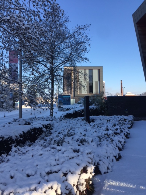 DockLeics's tweet image. A bit of snow can't stop Dock from staying open. Dock 1 and 2 standing proud amongst the beautiful snow we have had over the weekend. Let's enjoy it while we can! #workspaeleicester #workspacecommunity #snowday