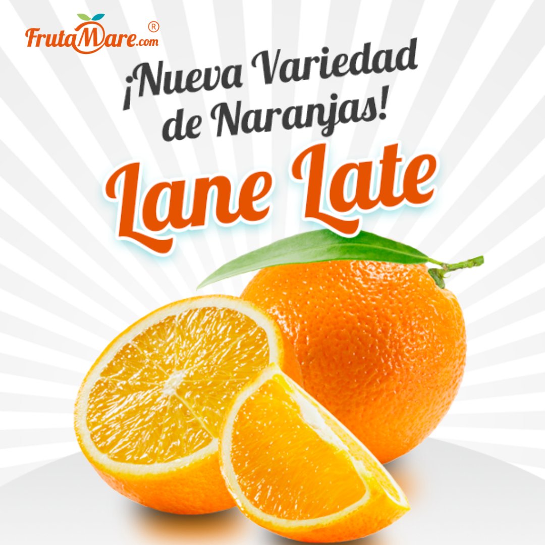 Nueva Variedad de Naranjas: Lane Late
.
bit.ly/363g1ye
.
#naranjas #lanelate #recienrecolectadas #delarbolatucasa #productosnaturales #trabajoduro #frutamare