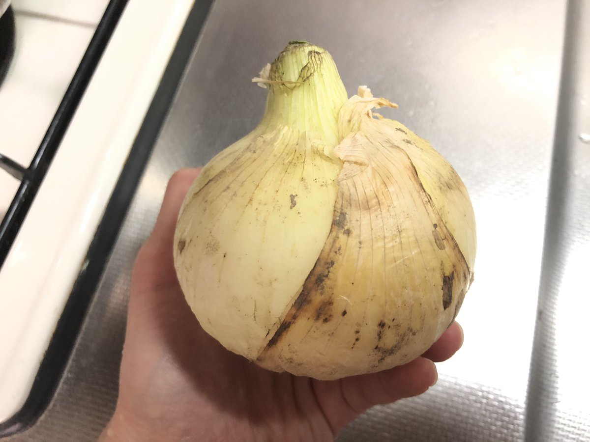 新たまねぎを見つけたら是非試してほしいレシピが美味しそう過ぎて全たまねぎ好きにやってほしい これは悪魔の食べ物 Togetter 新たまねぎを見つけたら是非試してほしいレシピが美味しそう過ぎて全たまねぎ好きにやってほしい これは悪魔の食べ物 Togetter