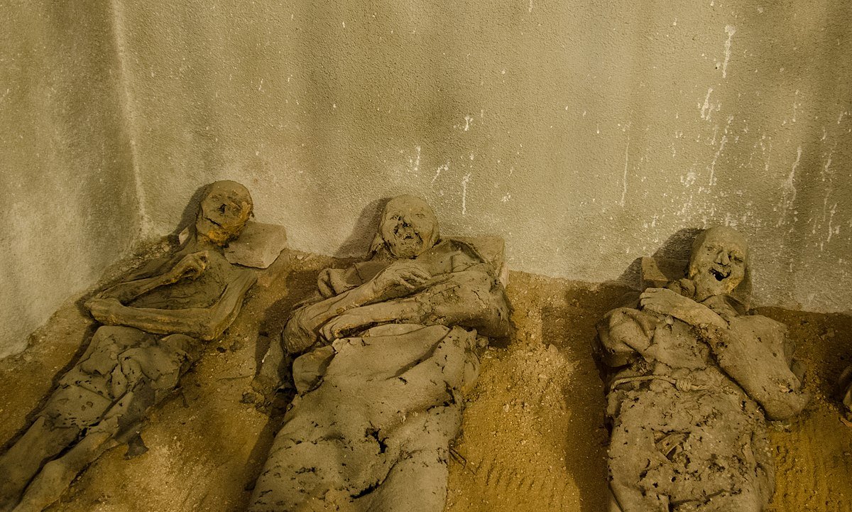 marixapanda's tweet photo. I just cant get over how freaking creepy some of the #CapuchinCrypt photos are...creepy even for my standards,damn!π€π€¨ππ https://t.co/NkafByZCXr