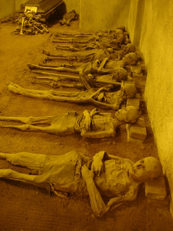marixapanda's tweet photo. I just cant get over how freaking creepy some of the #CapuchinCrypt photos are...creepy even for my standards,damn!π€π€¨ππ https://t.co/NkafByZCXr