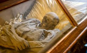 marixapanda's tweet photo. I just cant get over how freaking creepy some of the #CapuchinCrypt photos are...creepy even for my standards,damn!π€π€¨ππ https://t.co/NkafByZCXr