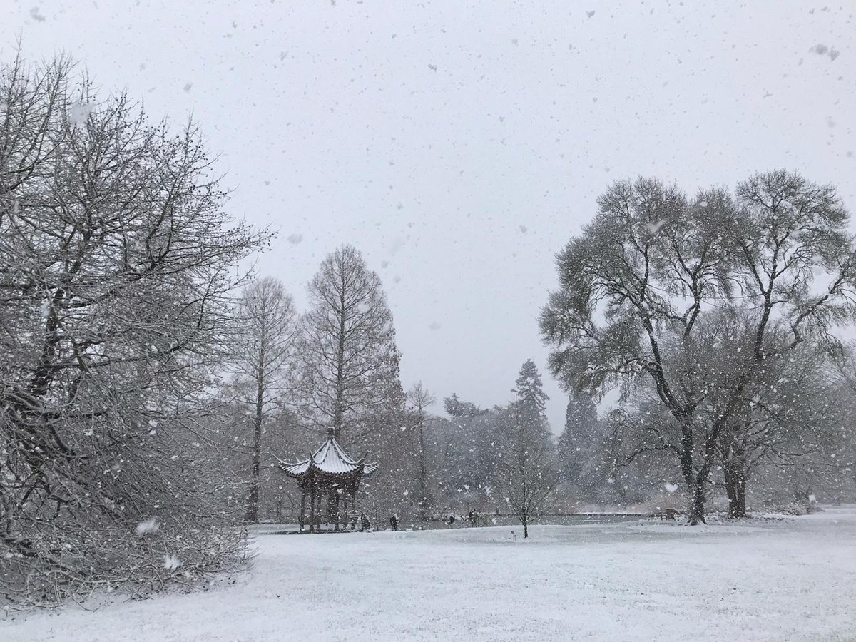 Wisley is open today and looking beautiful with a bright blue sky! You can also see some of the wonderful views in the fresh snow from yesterday. Plan your next visit: rhs.org.uk/wisley