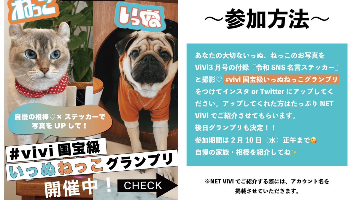 Vivi Vivi国宝級いっぬねっこグランプリ 開催中 Vivi3月号の付録 令和名言ステッカー とあなたの自慢のいっぬねっこの写真を撮る 上のハッシュタグを付けてtwitterかインスタにアップするだけ 豪華景品も用意してますよ たくさんのご参加お待ちして