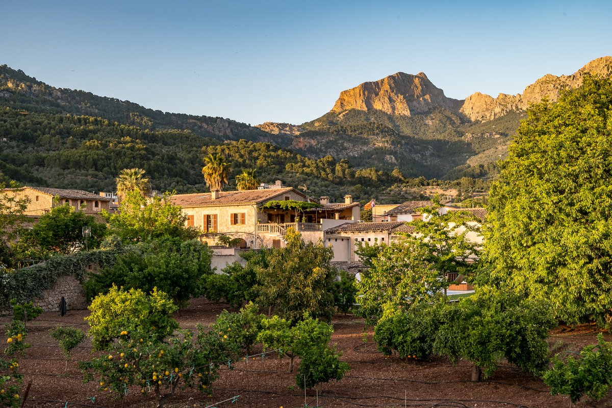 sollerweb's tweet photo. Our mountain, Puig Major, overlooks our valley of olive groves & orange trees. Hike in our glorious area or relax with a glass of wine- a perfect spot!
Photo Credit/Copyright: Gary Lloyd-Rees
#Soller #Mallorca #SollerWeb #holiday #restaurants #hiking #Travel #Mediterranean https://t.co/O76tSDfomt