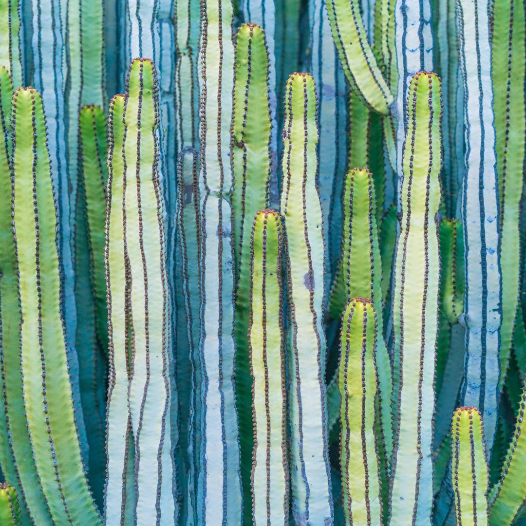 Der Sonne ⛅ entgegen!

Auch zu dieser Jahreszeit gibt es tolle Sonnenstunden. Nimm Dir diese Woche doch mal Zeit raus zu gehen und alle Strahlen einzufangen! 
Viel Spaß beim Sonne Tanken!

#heliotron #sundancer #auszeit