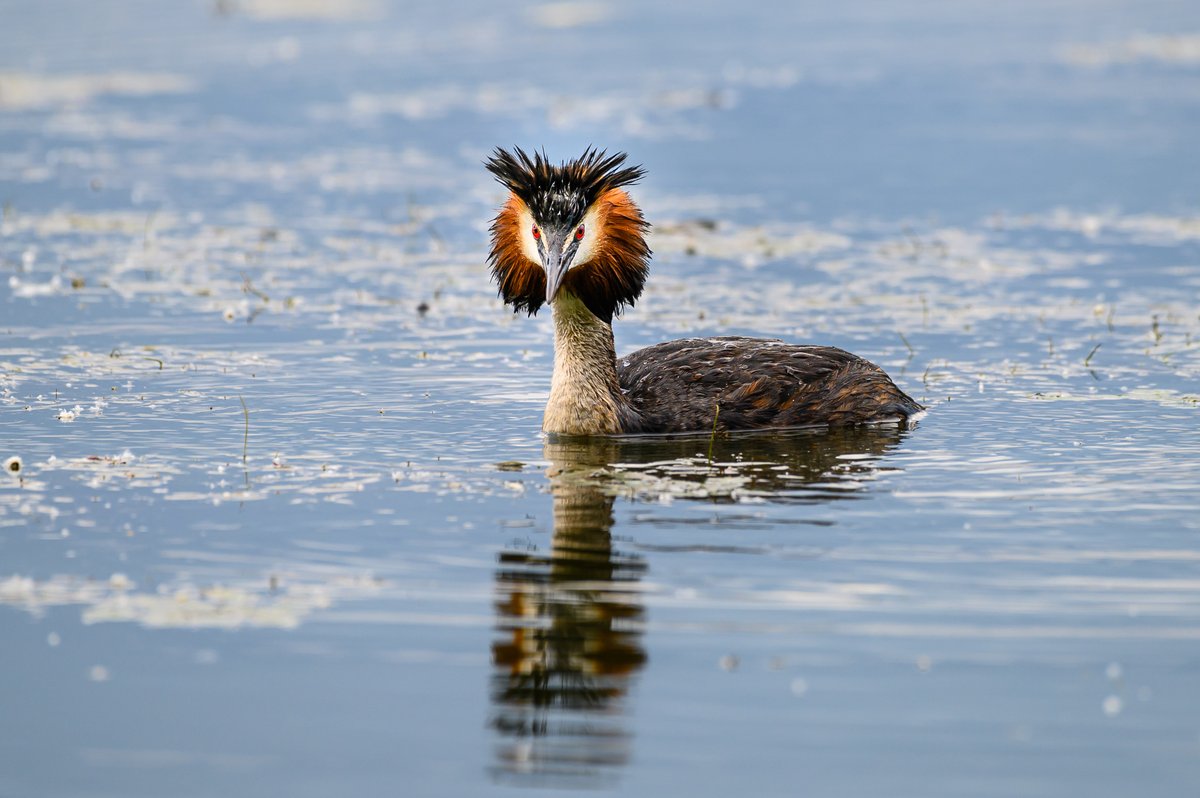 #burgas #bulgaria #nature #industry #industrialization #investinburgas #industrialpark #business #climate #ecofriendly #investors #investment #development #logistics #birds #burgaslake #lake #phase1