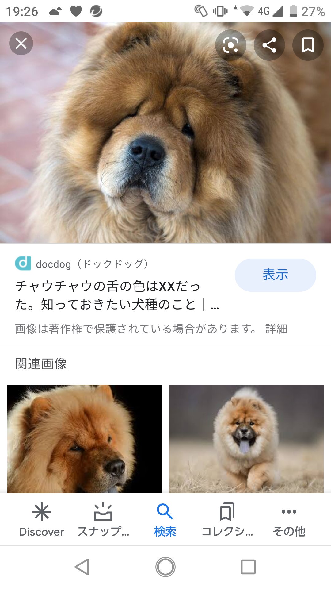 تويتر ６代目烈風隊 على تويتر Hkj4uutjkzlfw6i Nachinachi Na7 あり ちゃうちゃう T Co Izeresi2c9