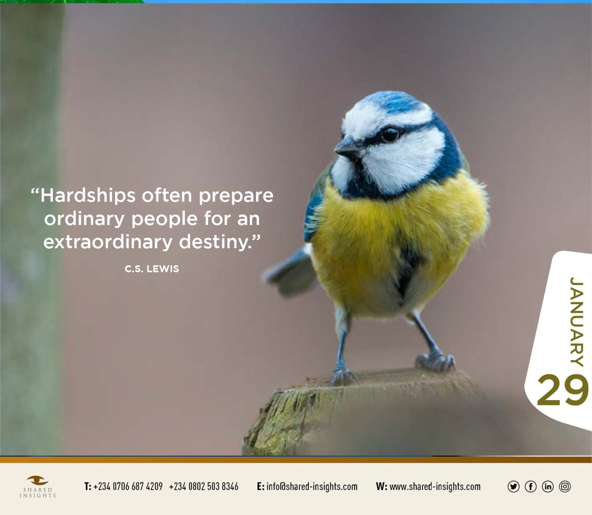 SharedInsights's tweet photo. We are open for business.
#Branding #DigitalMarketing #GraphicDesign
#PublicRelations
#BusinessConsulting
#WebDesign #FridayThoughts 

Contact us today @ https://t.co/HZjQG041KC, call 0706 687 4209 https://t.co/gfj35hJllB