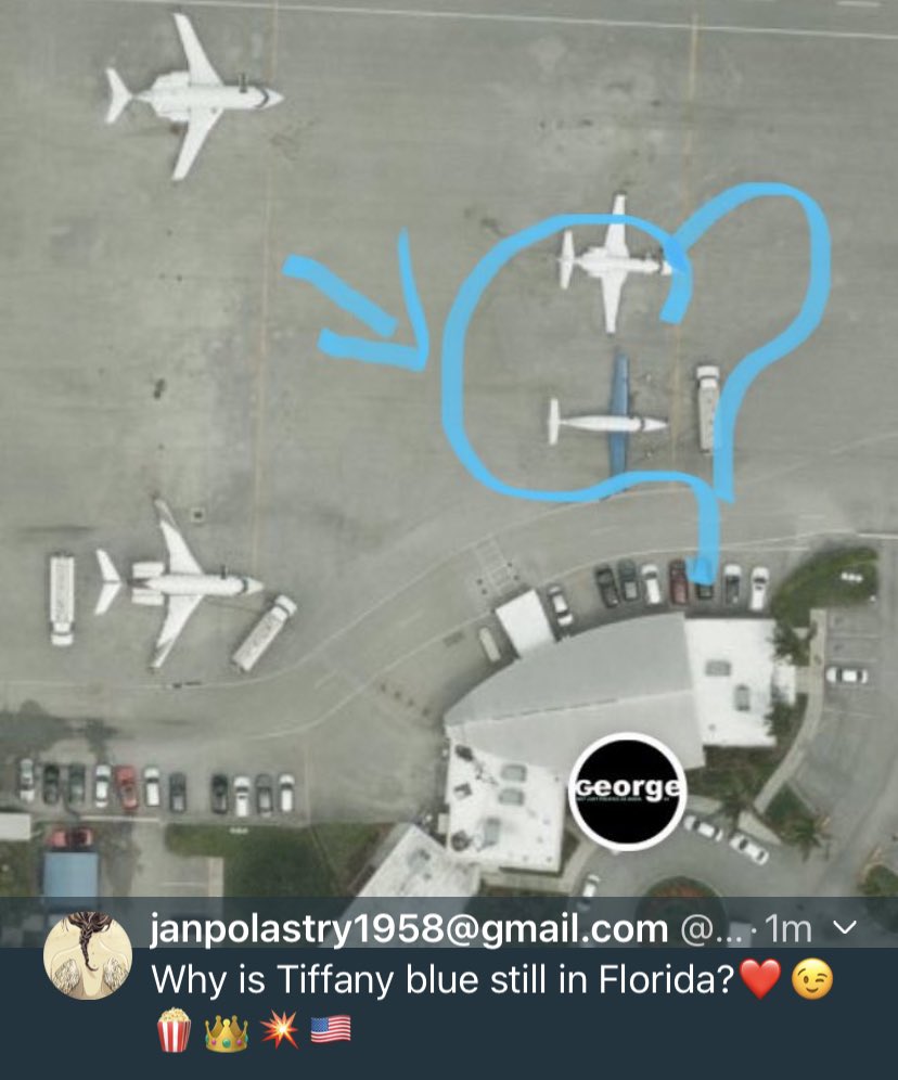 janpolastry1958@gmail.com tweet media