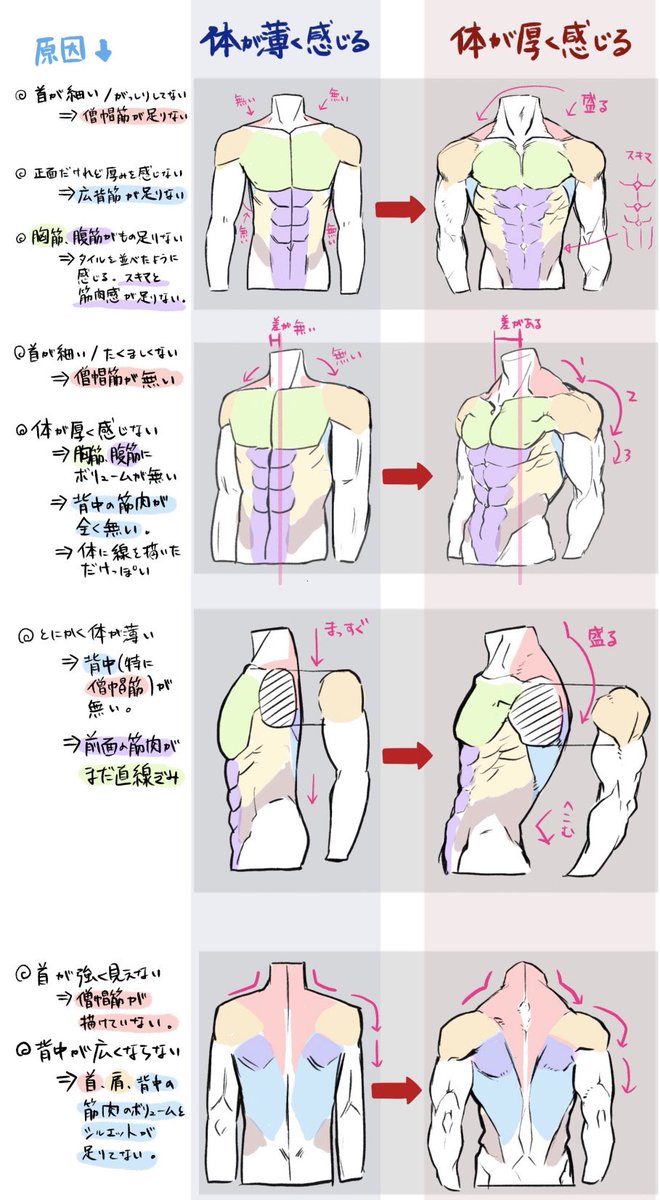 厚くてゴツイ体を描きたい方へ 筋肉を意識すると劇的に変わる 話題の画像プラス