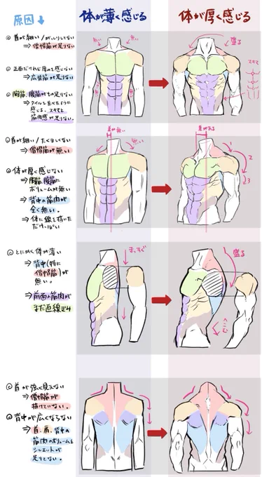 正確じゃないけど筋肉も描いて 