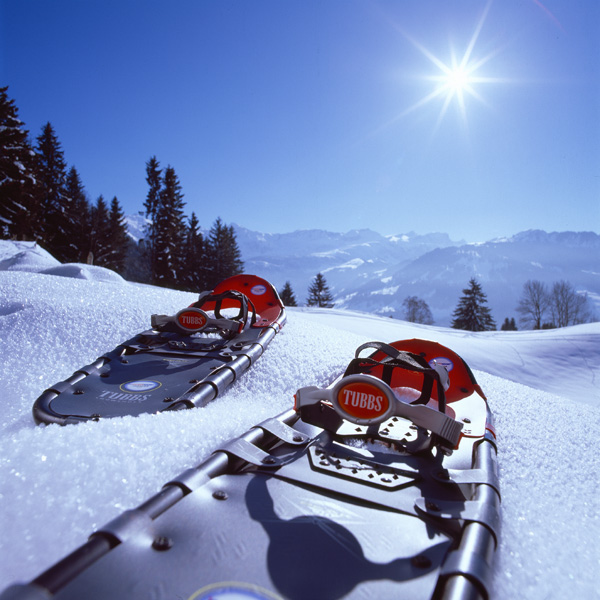Im Lenkerhof übernachten und mit Schneeschuhen die Winterlandschaft erkunden! Für Gäste vom Lenkerhof erst noch kostenlos ❤️