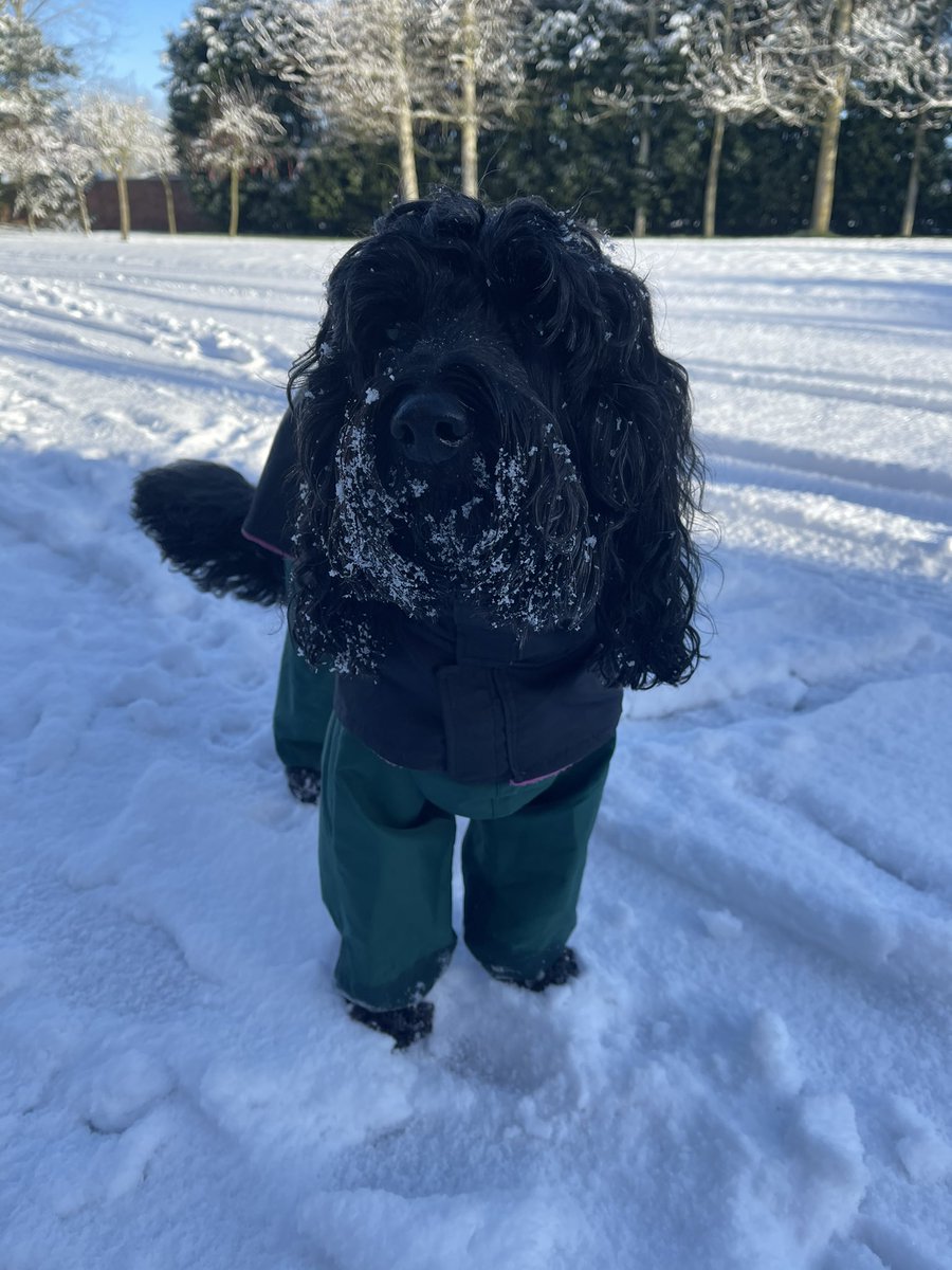 DWallerDelami's tweet photo. @thismorning @Schofe @hollywills this is home in Lichfield, Staffordshire ⛄️😍 https://t.co/GAfcVbZzLQ