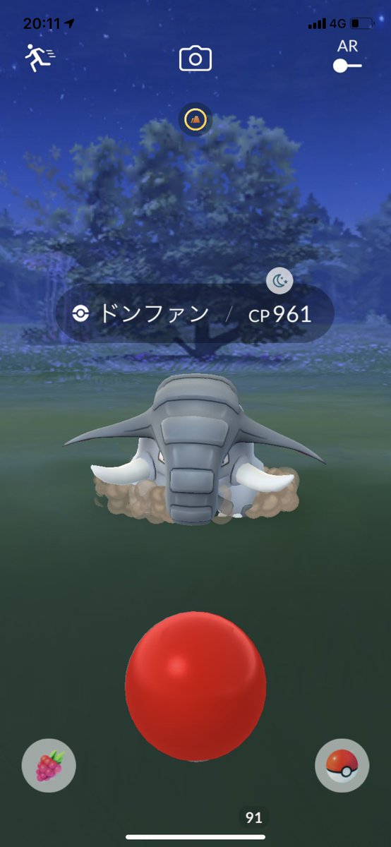 ひろむん 野良ドンファン ポケモンgo ひろむん 野良ドンファン ポケモンgo
