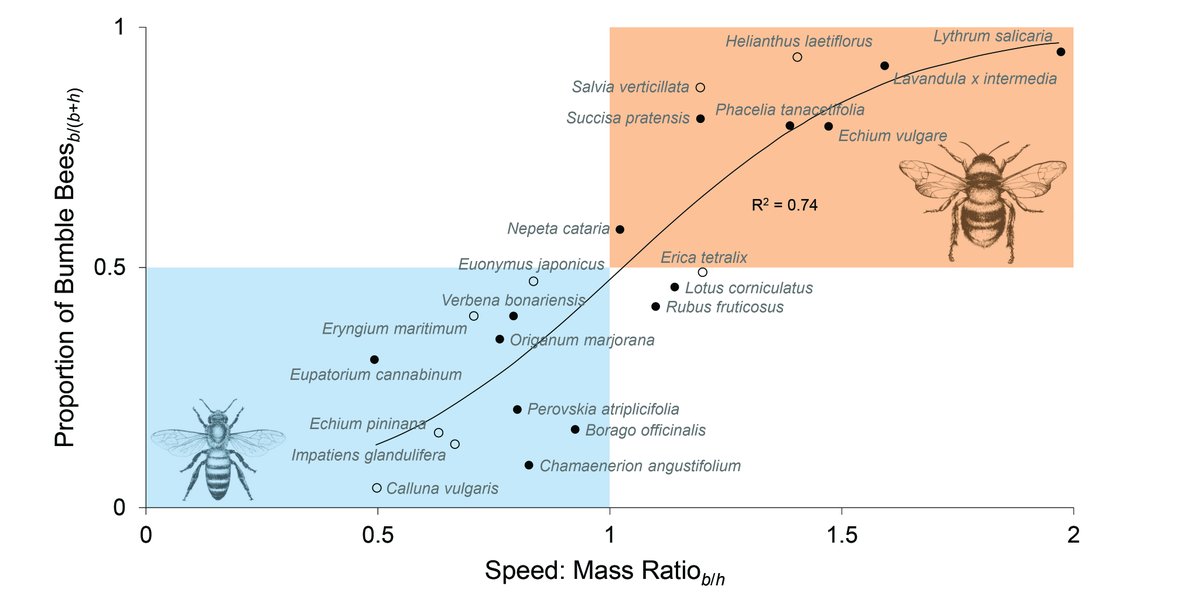 A new #openaccess article in <a href="/ESAEcology/">Ecology</a>:

Energetic efficiency of foraging mediates bee niche partitioning

#Energetics #OptimalForaging #Bees #OpenScience

doi.org/10.1002/ecy.32…