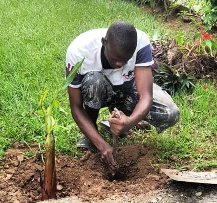 Meet59919043's tweet photo. To quote @GretaThunberg: “The moment we decide to fulfil something, we can do anything.” 

Robin Hood Academy’s volunteers are driving #AcademyGreens Trees for 2050 #global initiative to plant 200,000 trees across 100+ cities. 

#AcademyGreens
#RobinHoodAcademy
@rha_india https://t.co/Oas19iBKCW