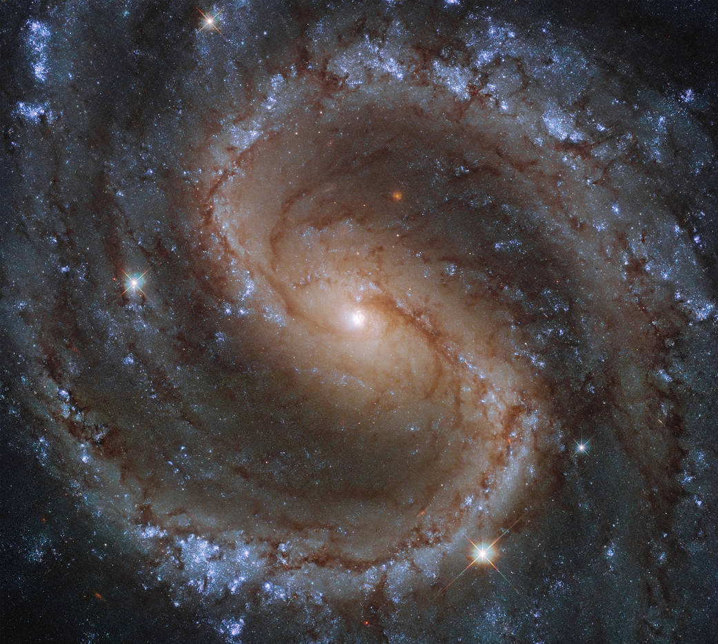 MichaelGalanin's tweet photo. Hubble Takes Portrait of the ‘Lost Galaxy’

Image credit: ESA/Hubble &amp; NASA, J. Lee and the PHANGS-HST Team https://t.co/IbZ6AxtLIo