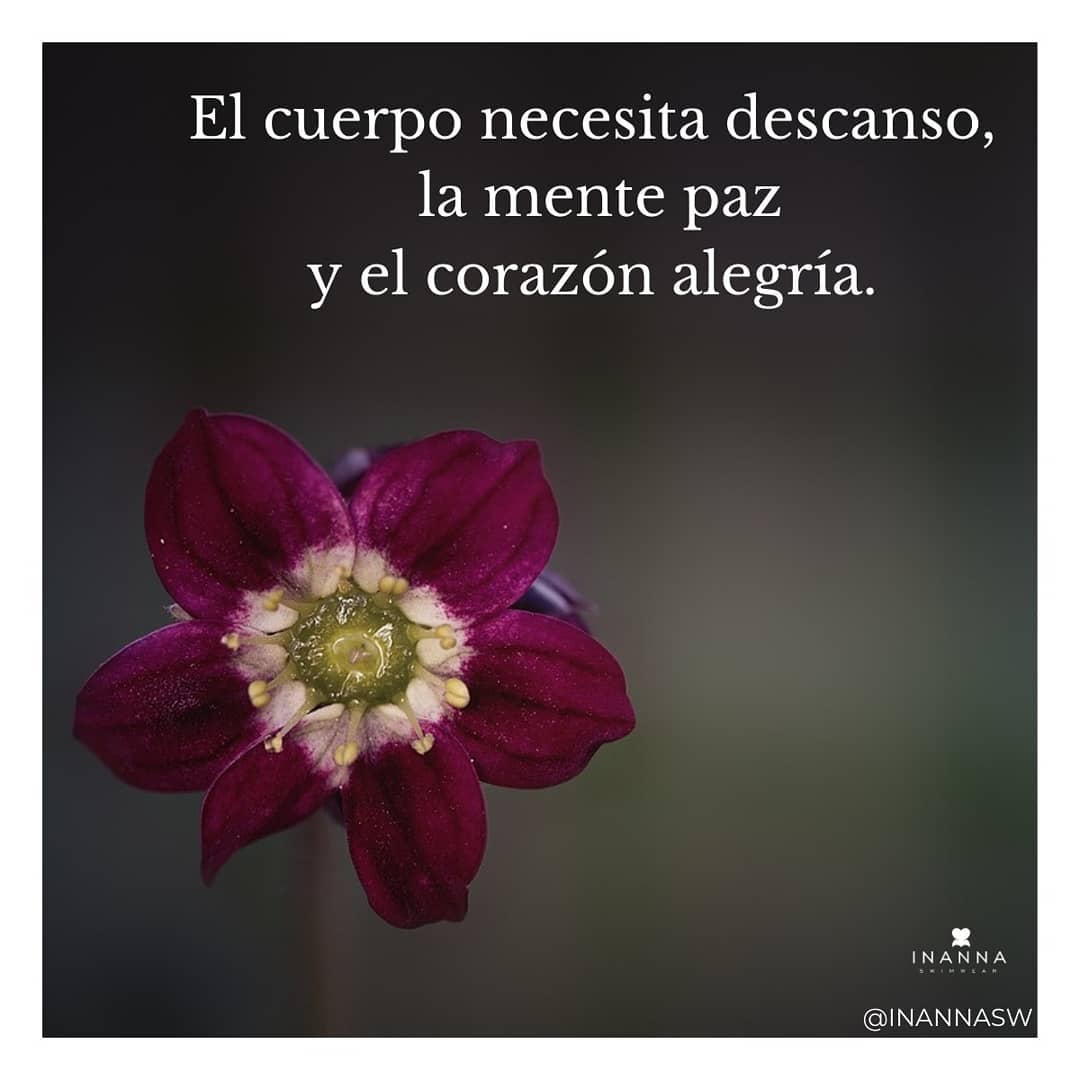 Que este lunes sea de muchaaaa paz y alegría 💜